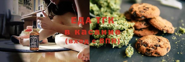 хмурый Алексин