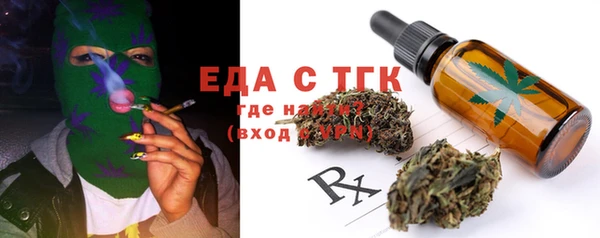 хмурый Алексин