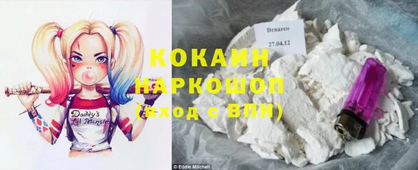 хмурый Алексин